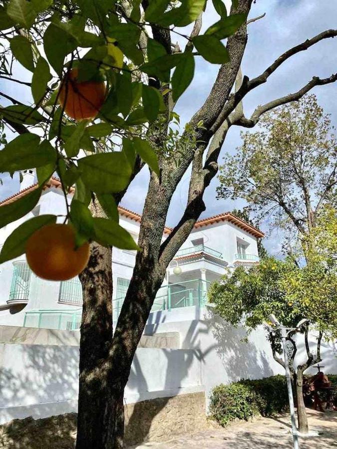 Nuevo Los Almendros 204 Complejo Turistico Appartement Córdoba Buitenkant foto
